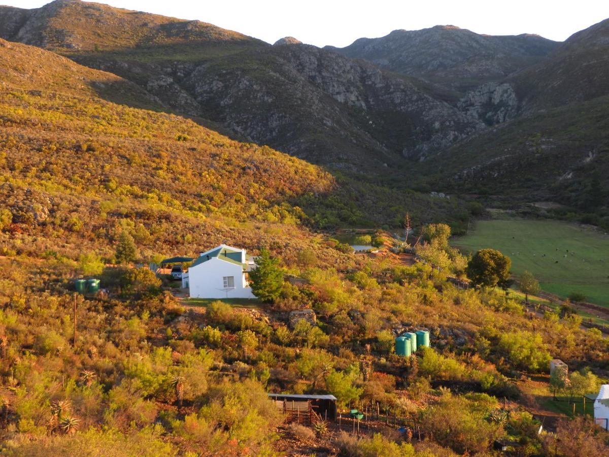 Bo Kouga Mountain Retreat Hotel Ongelegen Eksteriør billede