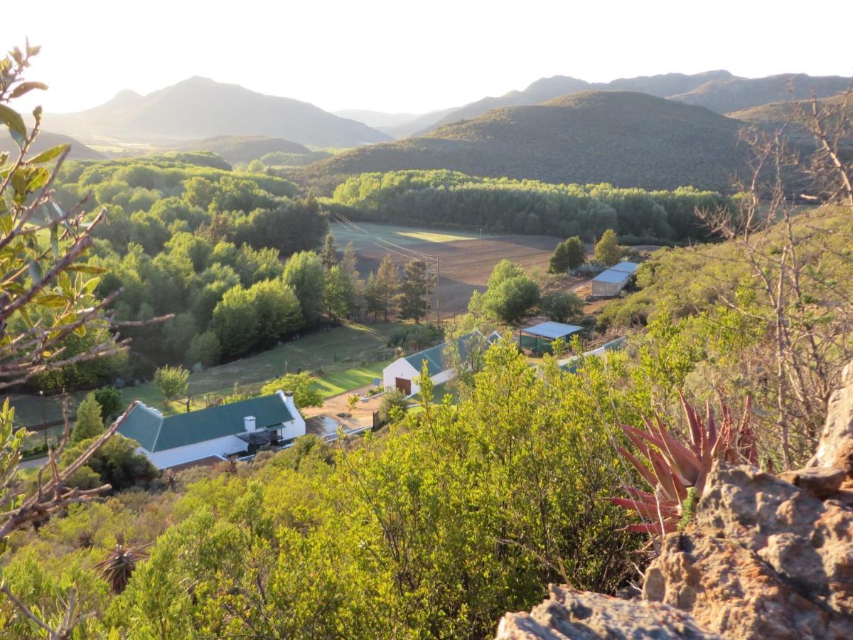 Bo Kouga Mountain Retreat Hotel Ongelegen Eksteriør billede