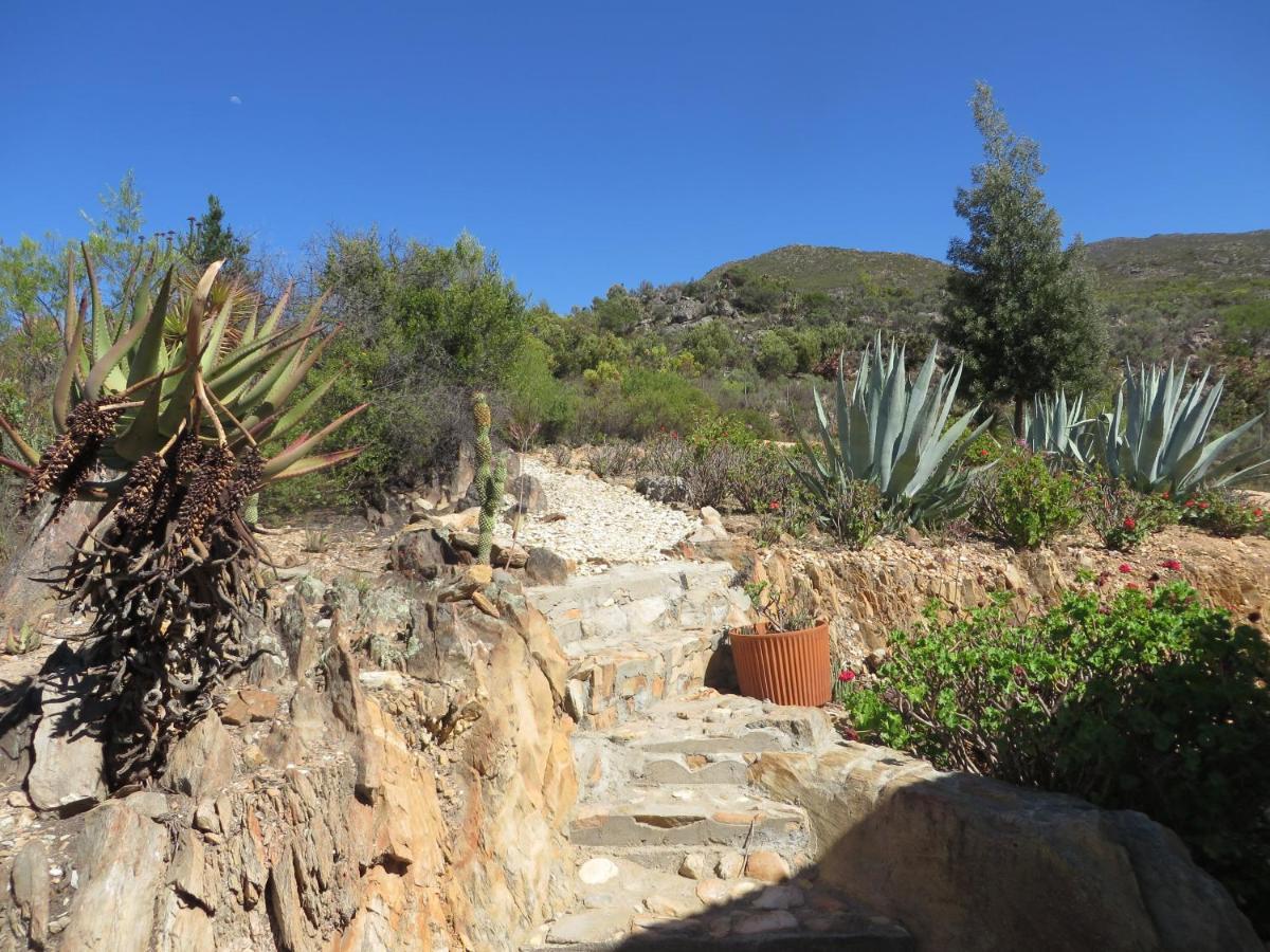 Bo Kouga Mountain Retreat Hotel Ongelegen Eksteriør billede